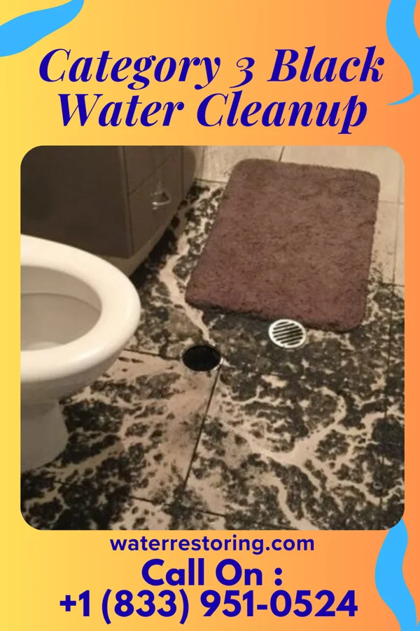 Category 3 Black Water Cleanup in Sherman, SD
