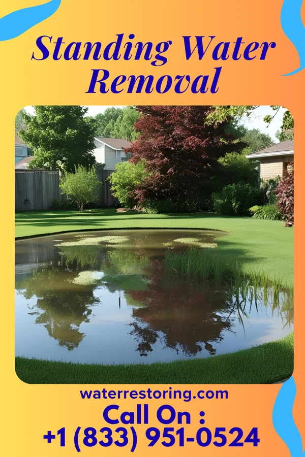 Standing Water Removal in Sherman, SD